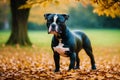 Staffordshire Bull Terrier dog. Portrait of a beautiful Staffordshire Bull Terrier playing in the park. Generative AI Royalty Free Stock Photo