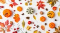 Generative AI Autumn composition Dried leaves pumpkins flowers rowan berries on white background Autumn fall hallo Royalty Free Stock Photo