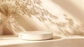 Generative AI Background Shadow Studio Autumn Beige Plant Overlay Podium 3d White Light Design Table Product Room