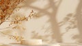 Generative AI Background Shadow Studio Autumn Beige Plant Overlay Podium 3d White Light Design Table Product Room