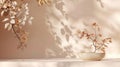 Generative AI Background Shadow Studio Autumn Beige Plant Overlay Podium 3d White Light Design Table Product Room