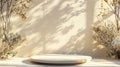 Generative AI Background Shadow Studio Autumn Beige Plant Overlay Podium 3d White Light Design Table Product Room