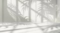 Generative AI Background White Shadow Studio Light Display Product 3d Gray Blurred Leaf Wall Space Empty Podium Ab