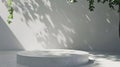 Generative AI Background White Wall Studio with  Shadow Leaves light Cement floor Surface Texture BackgroundEmpty Royalty Free Stock Photo