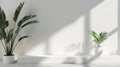 Generative AI Background White Wall Studio with  Shadow Leaves light Cement floor Surface Texture BackgroundEmpty Royalty Free Stock Photo