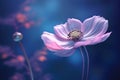 Beautiful anemone flowers with soft focus in spring 1690445257983 8