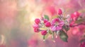 Generative AI Beautiful apple tree unblown flowers close up spring blooming red flowers on blurred bokeh backgroun Royalty Free Stock Photo