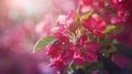 Generative AI Beautiful apple tree unblown flowers close up spring blooming red flowers on blurred bokeh backgroun Royalty Free Stock Photo