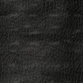 Beautiful_black_abstract_background_with_fine_leather_texture_1690448461976_8