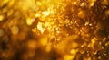 Generative AI Beautiful blurred autumn background with yellowgold leaves in the rays of sunlight on a dark natural