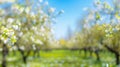 Generative AI Beautiful blurred spring background nature with blooming glade trees and blue sky on a sunny day bus Royalty Free Stock Photo
