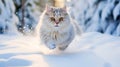 Generative AI. A beautiful cat running outside in the snow