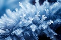 Beautiful crystals of hoarfrost closeup macro on a 1690450203740 3