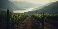 Generative AI, beautiful Italian vineyard, green landscape. Rows of vines