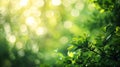 Generative AI Beautiful Nature defocused bokeh green background texture Blurred crown trees in garden closeup Natu Royalty Free Stock Photo