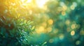 Generative AI Beautiful Nature defocused bokeh green background texture Blurred crown trees in garden closeup Natu Royalty Free Stock Photo