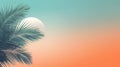 Beautiful palm leaves on sunset against blue sky 1690447594911 3 Royalty Free Stock Photo