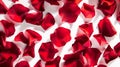 Generative AI Beautiful red rose petals on white background top view business concept. Royalty Free Stock Photo