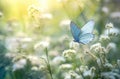 Beautiful_spring_background_with_blue_butterfly_in_flight_1690444265732_7