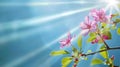 Generative AI Beautiful spring background with branch of blossoming cherry tree and rays of sun in nature Gentle s Royalty Free Stock Photo
