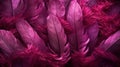 Generative AI, Beautiful viva magenta pink closeup feathers, photorealistic background.