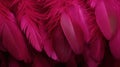 Generative AI, Beautiful viva magenta pink closeup feathers, photorealistic background.