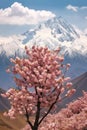 Beautiful_wild_Himalayan_CherryPrunus_cerasoides_flower_Sakura_thailand_1690599465892_4