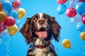 Generative AI. Birthday concept. A brown and white spaniel on a blue background among colorful balloons, front view. A