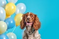 Generative AI. Birthday concept. A red and white spaniel on a blue background among colorful balloons, front view. A
