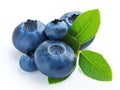 Generative AI Blueberry isolated. Blueberry with leaves on white. Bilberry on white background. Full depth of fiel Royalty Free Stock Photo