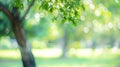 Generative AI Blur garden tree nature background with bokeh light Blurred spring green garden park in spring and s Royalty Free Stock Photo