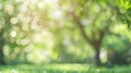 Generative AI Blur garden tree nature background with bokeh light Blurred spring green garden park in spring and s Royalty Free Stock Photo