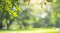 Generative AI Blurred nature green tree in a park background natural trees and lawn with walkway in outdoor garden Royalty Free Stock Photo