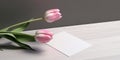 Bouquet pink tulips and open page of notebook 1690449380011 1 Royalty Free Stock Photo