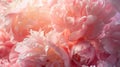 Generative AI Bouquet of stylish peonies closeup Pink peony flowers Closeup of flower petals Floral greeting card