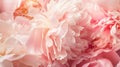 Generative AI Bouquet of stylish peonies closeup Pink peony flowers Closeup of flower petals Floral greeting card Royalty Free Stock Photo