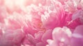 Generative AI Bouquet of stylish peonies closeup Pink peony flowers Closeup of flower petals Floral greeting card Royalty Free Stock Photo