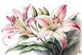 Generative AI. A branch close-up of pink Lilly flowers. Watercolor painting illustration, isolated on white background Royalty Free Stock Photo