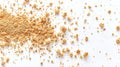 Generative AI Bread crumbs isolated on white background Splash of crumbs Top view Pattern Flat lay business conce