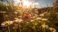 Bright_beautiful_widescreen_image_of_a_meadow_lit_1690445545156_4 Royalty Free Stock Photo