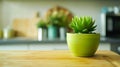 Generative AI Bright And Clean Modern Minimalist Kitchen Close Up Cutting Boards Green Succulent Pot On A Wooden W