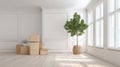 Generative AI Bright Empty Room with Cardboard Boxes and a Potted Tree Ready for Occupancy business concept. Royalty Free Stock Photo