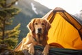 Generative AI camping in mountains with a dog. Red cute golden retriever is little traveler. Front view. Happy dog