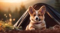 Generative AI camping in mountains with a dog. Red and white welsh corgi pembroke puppy is little traveler. Front view.