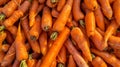 Generative AI Carrots texture background Raw carrots on display on farmers market Close up image business concept.