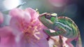 Generative AI Chameleon on the flower Beautiful extreme closeup business concept. Royalty Free Stock Photo