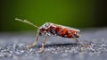 Generative AI Close macro shot of colorful insect with vibrant pattern on textured surface business concept.