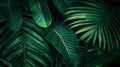 Generative AI close up abstract green leaf texture nature background tropical leaves business concept. Royalty Free Stock Photo