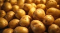 Generative AI, Close up Fresh Organic Whole Potato background.