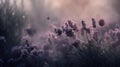 Generative AI, Close up growing lavender field with perfume smoke, flowering lavandula
